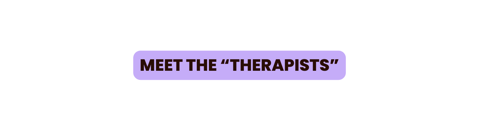 Meet the therapists