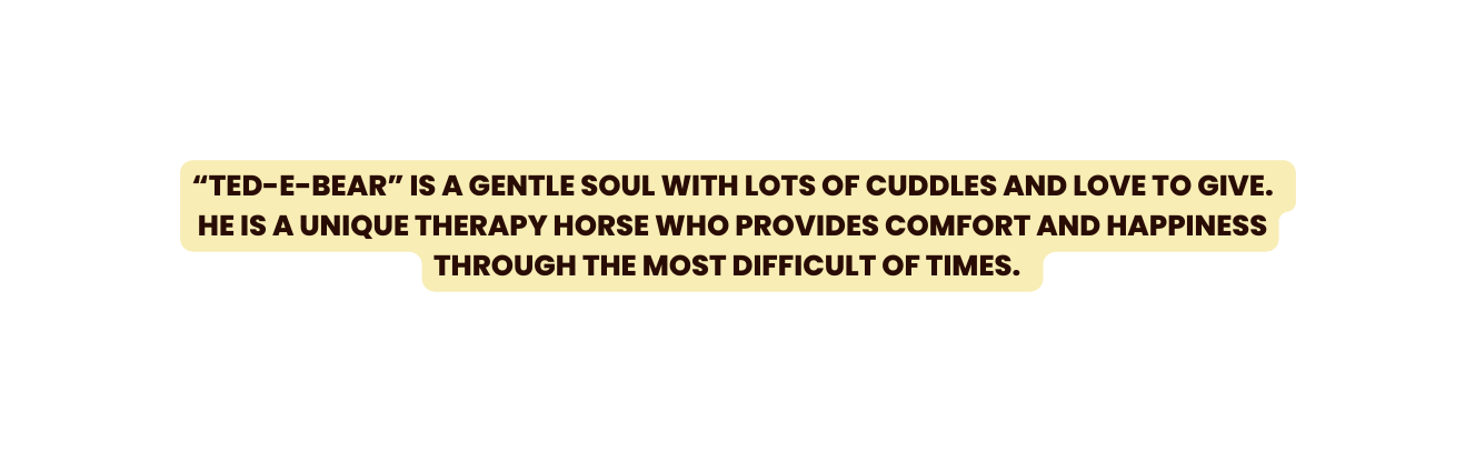 TED E BEAR IS A GENTLE SOUL WITH LOTS OF CUDDLES AND LOVE TO GIVE He is a unique therapy horse who provides comfort and happiness through the most difficult of times